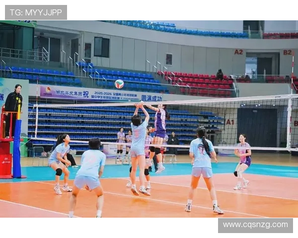 排球心理素质评比揭晓武汉排球队荣登第七名展现强大内心力量